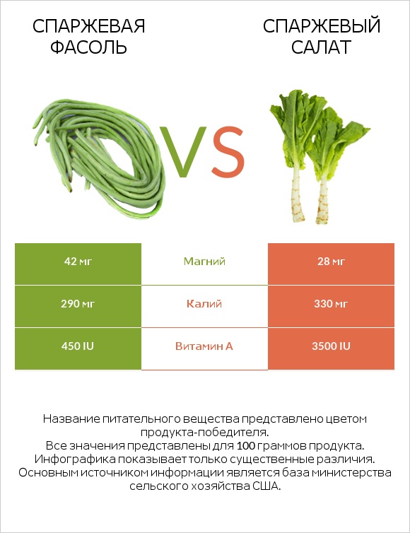 Спаржевая фасоль vs Спаржевый салат infographic