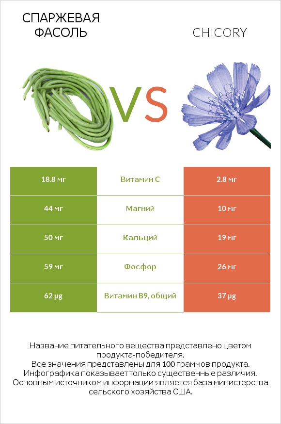 Спаржевая фасоль vs Chicory infographic