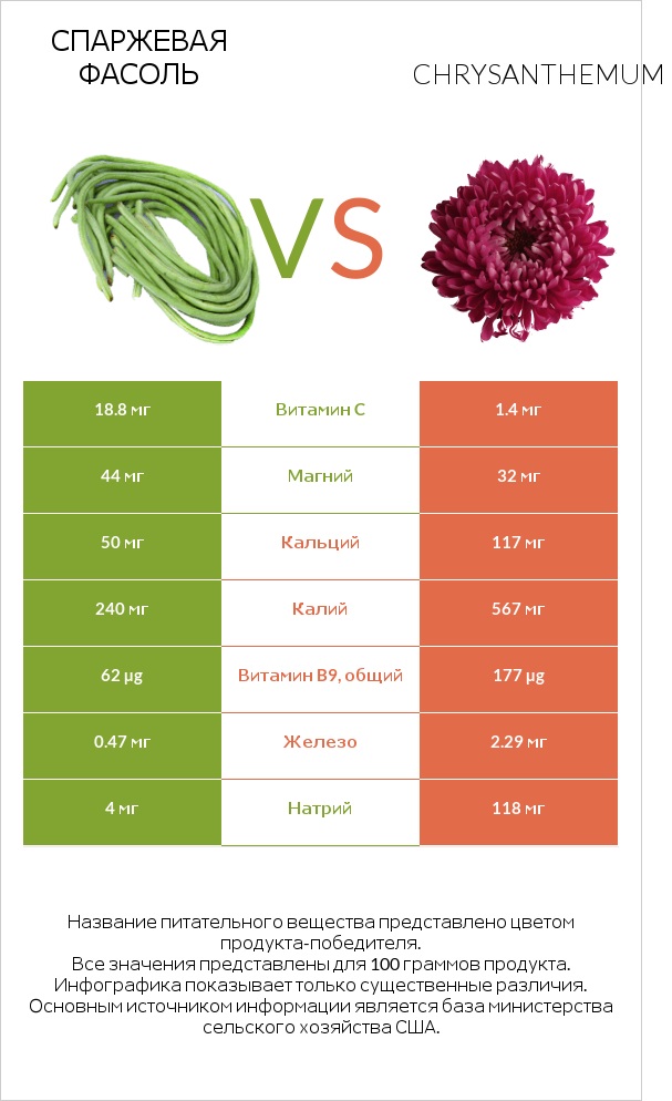 Спаржевая фасоль vs Chrysanthemum infographic