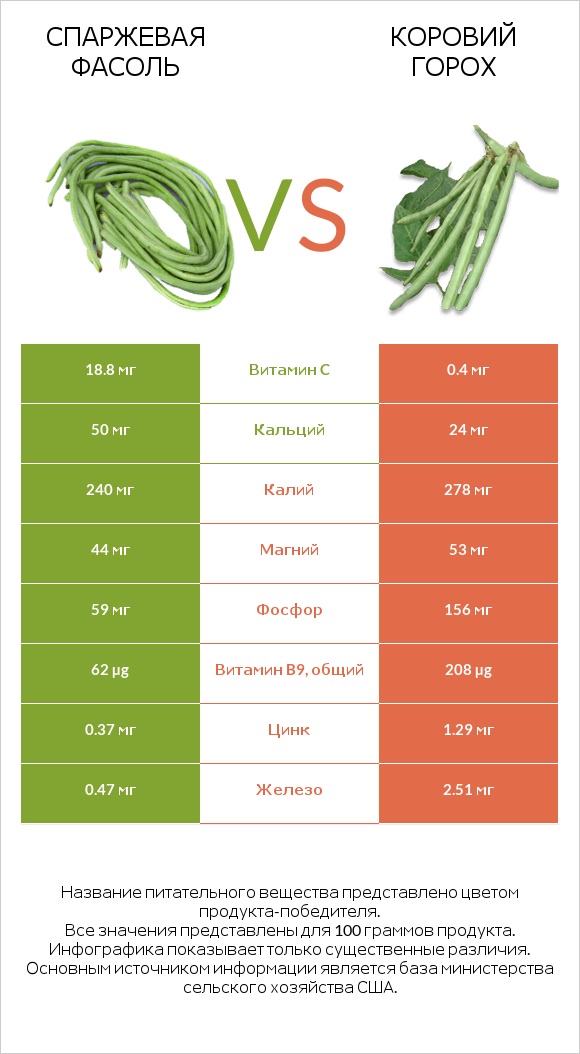 Спаржевая фасоль vs Коровий горох infographic