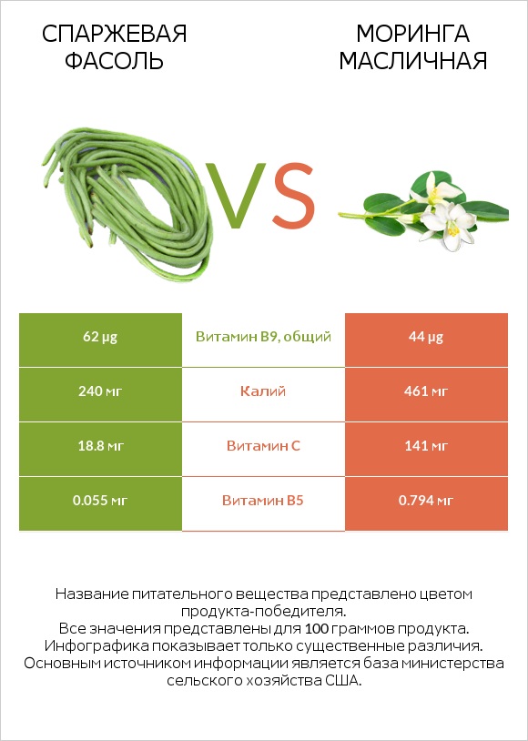 Спаржевая фасоль vs Моринга масличная infographic