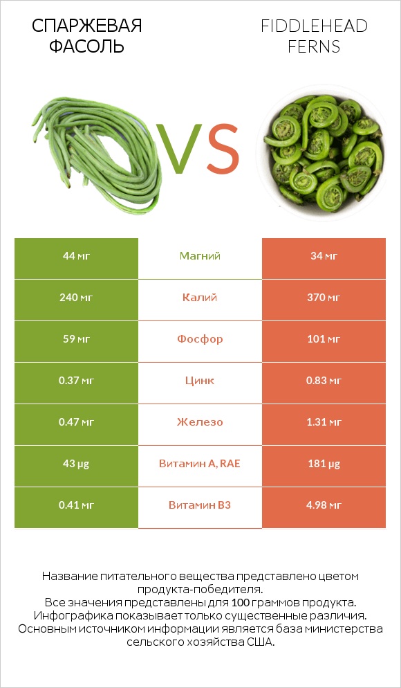 Спаржевая фасоль vs Fiddlehead ferns infographic