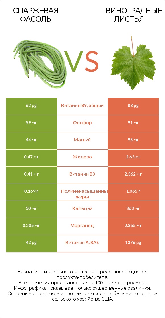 Спаржевая фасоль vs Виноградные листья infographic