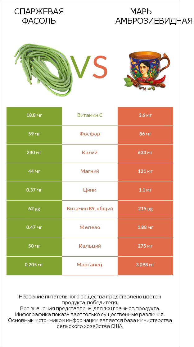 Спаржевая фасоль vs Марь амброзиевидная infographic