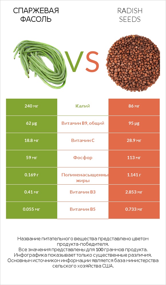 Спаржевая фасоль vs Radish seeds infographic