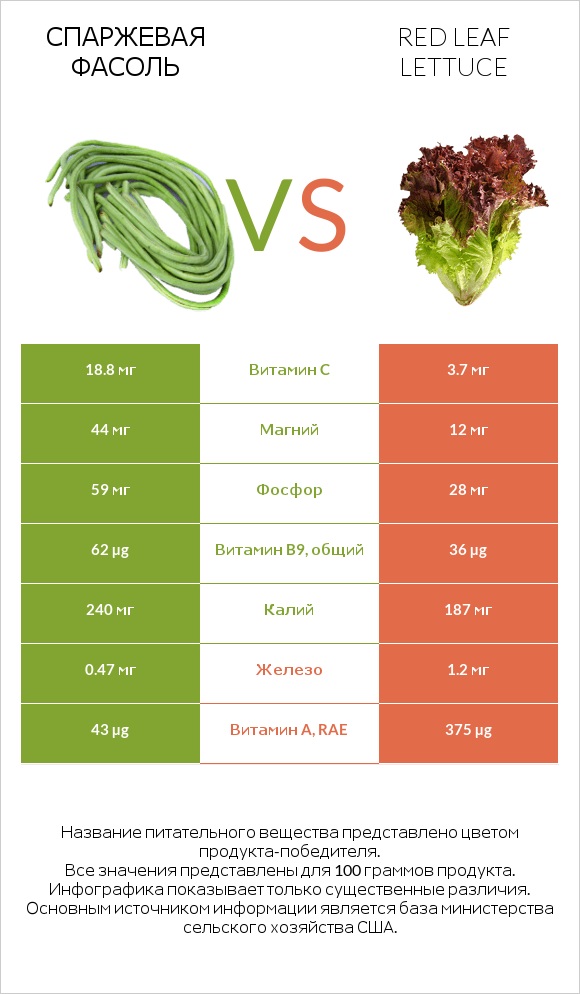 Спаржевая фасоль vs Red leaf lettuce infographic