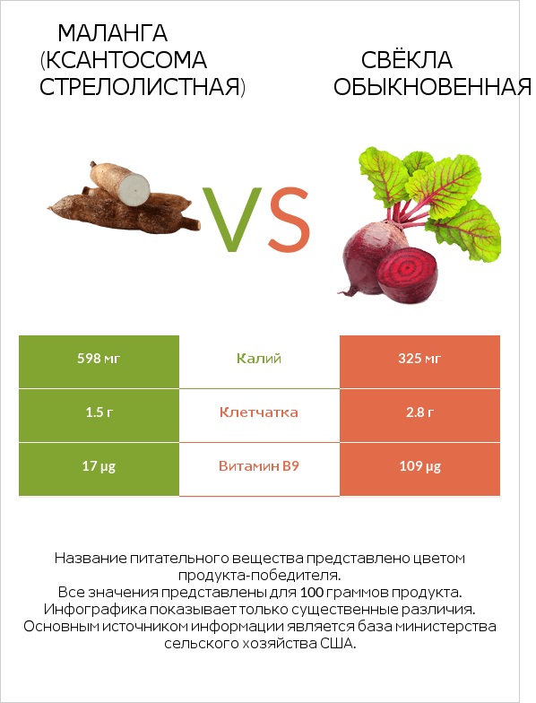 Маланга (Ксантосома стрелолистная) vs Свёкла обыкновенная infographic