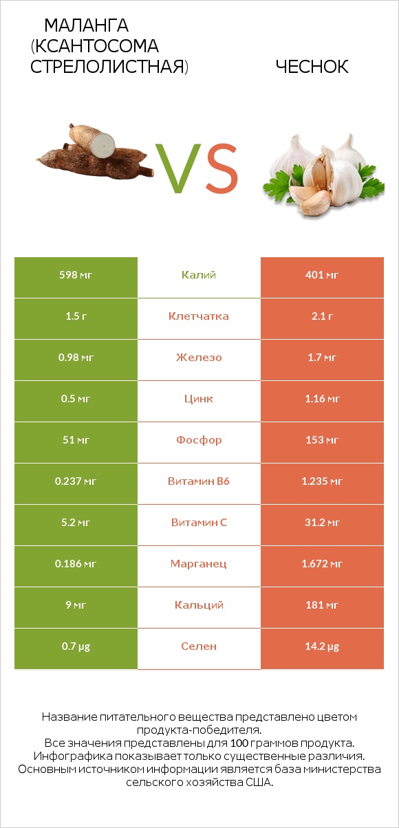 Маланга (Ксантосома стрелолистная) vs Чеснок infographic