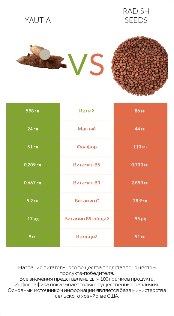 Yautia vs Radish seeds infographic