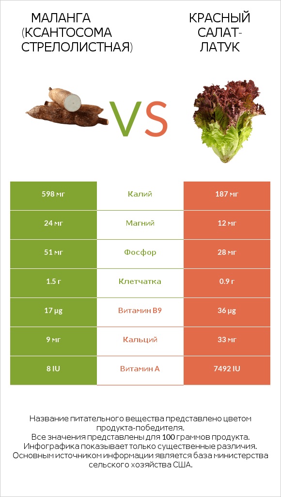 Маланга (Ксантосома стрелолистная) vs Красный салат-латук  infographic