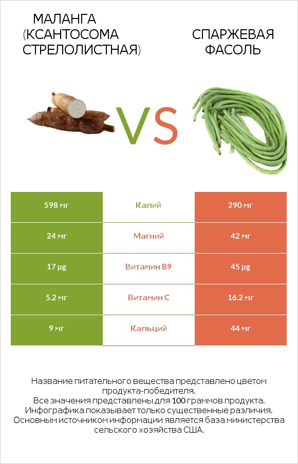 Маланга (Ксантосома стрелолистная) vs Спаржевая фасоль infographic