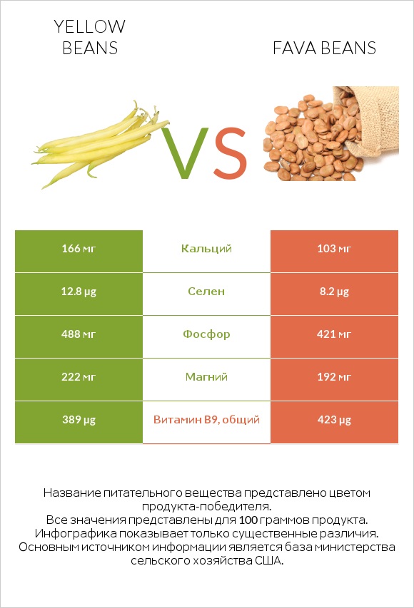 Yellow beans vs Fava beans infographic