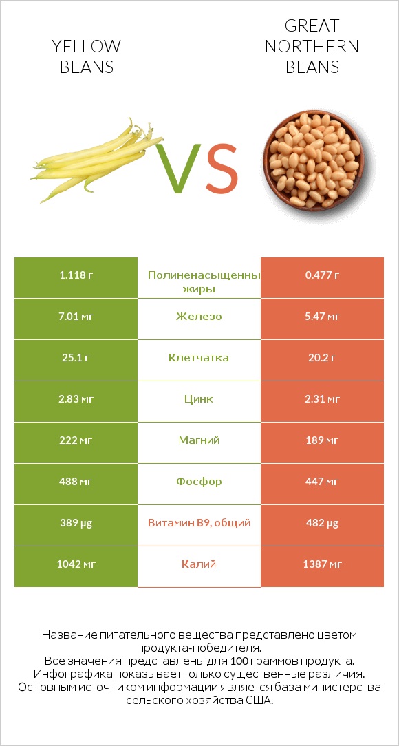 Yellow beans vs Great northern beans infographic