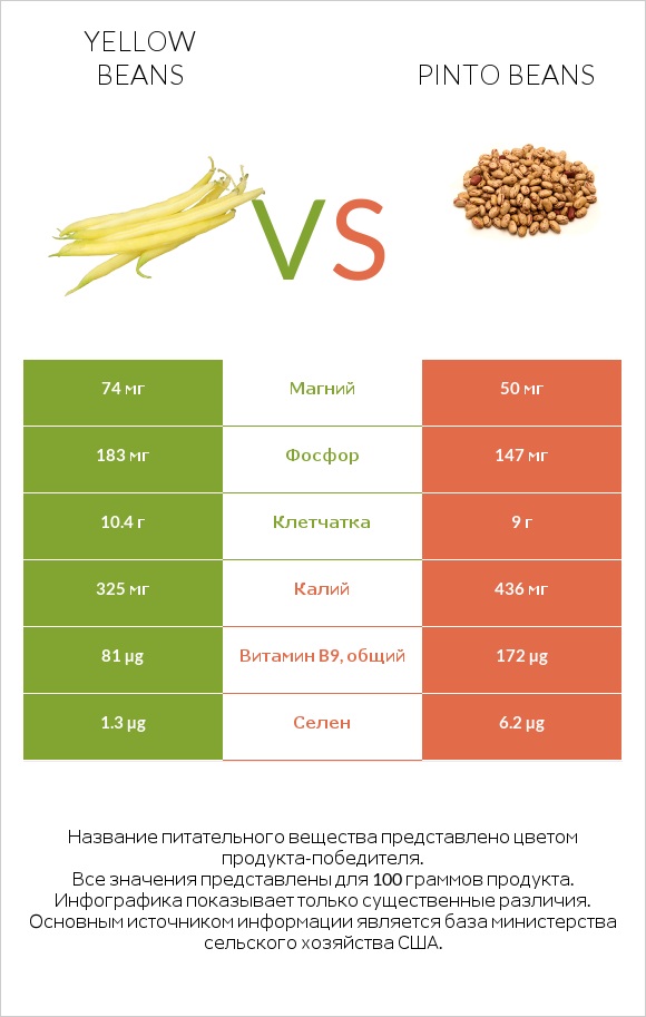 Yellow beans vs Pinto beans infographic