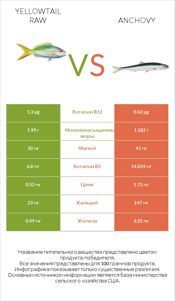 Yellowtail raw vs Anchovy infographic