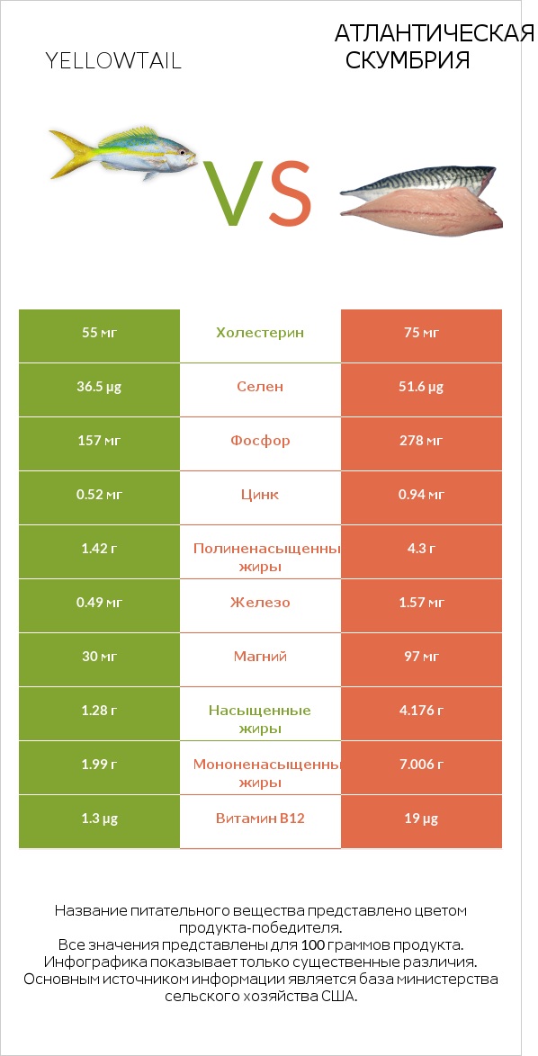 Yellowtail vs Атлантическая скумбрия infographic