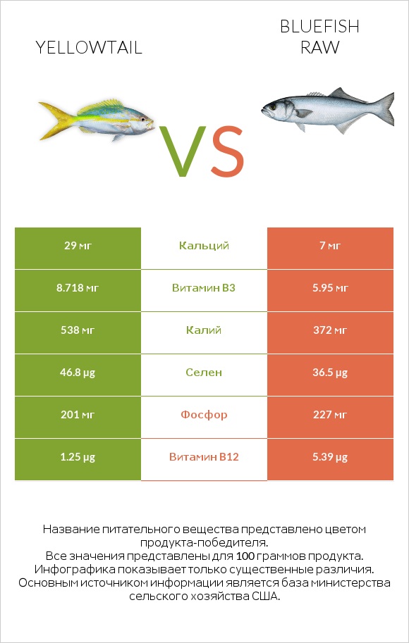 Yellowtail vs Bluefish raw infographic