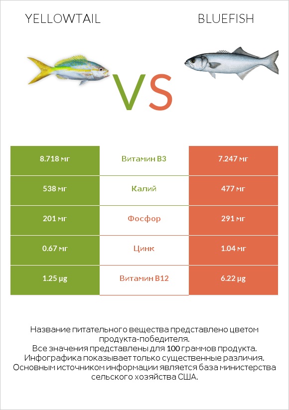 Yellowtail vs Bluefish infographic