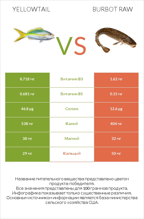 Yellowtail vs Burbot raw infographic
