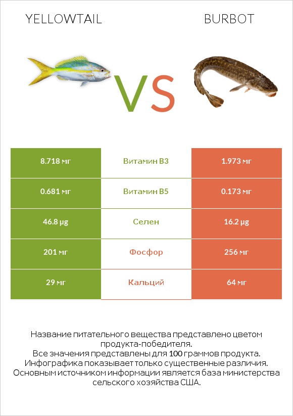 Yellowtail vs Burbot infographic