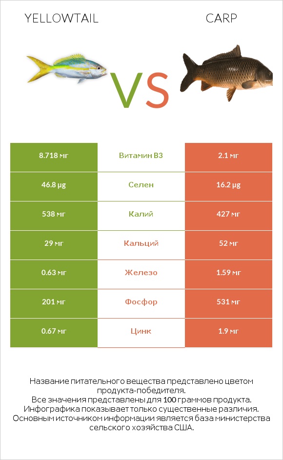 Yellowtail vs Carp infographic