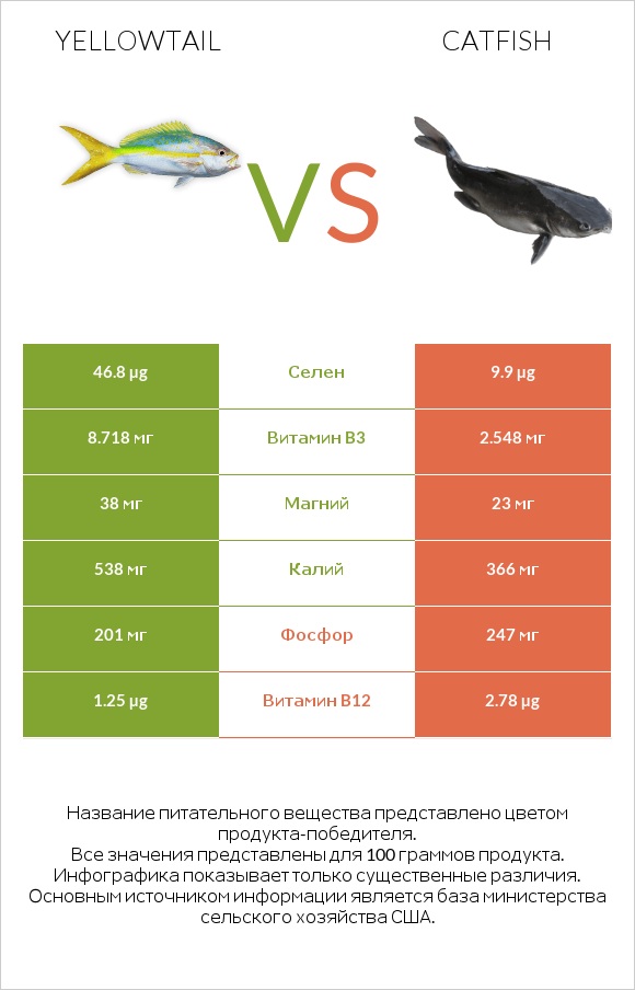 Yellowtail vs Catfish infographic