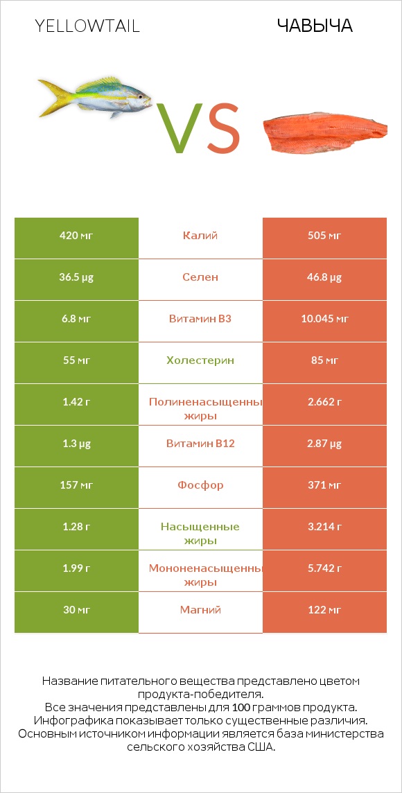 Yellowtail vs Чавыча infographic