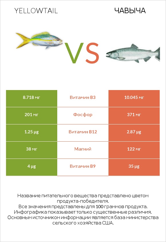 Yellowtail vs Чавыча infographic