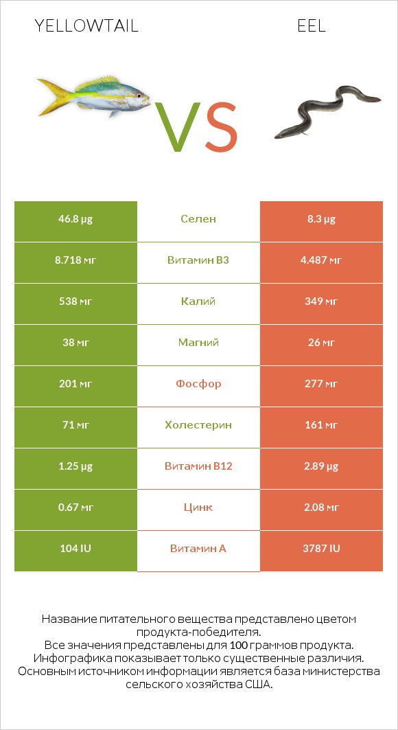 Yellowtail vs Eel infographic