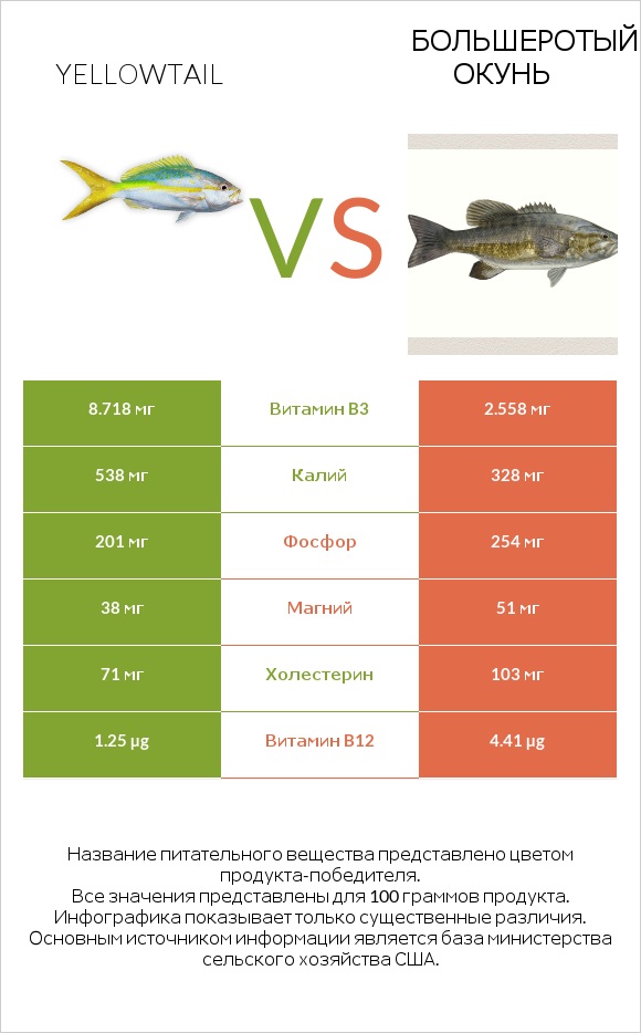 Yellowtail vs Большеротый окунь infographic