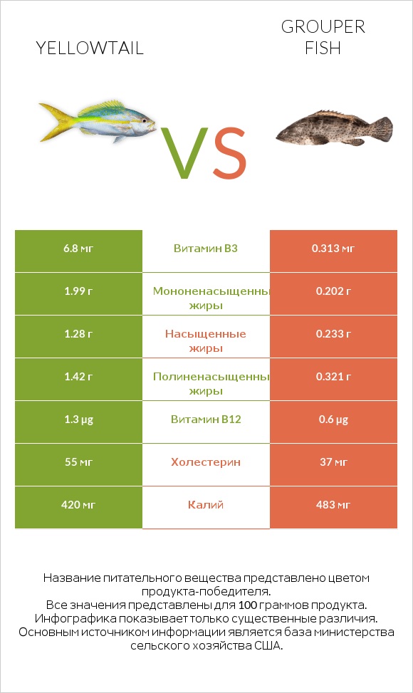 Yellowtail vs Grouper fish infographic