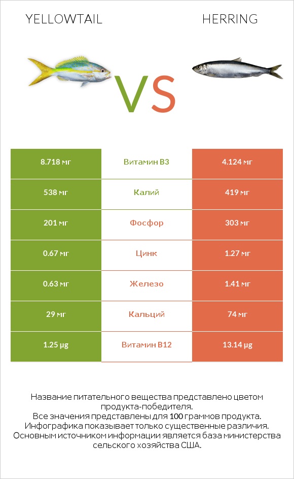 Yellowtail vs Herring infographic