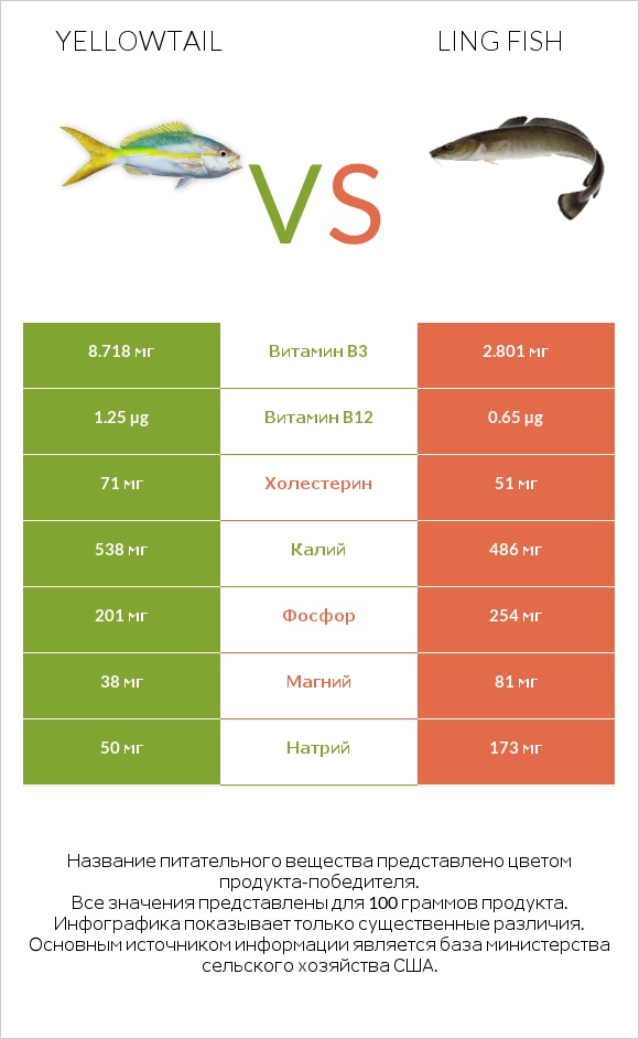 Yellowtail vs Ling fish infographic