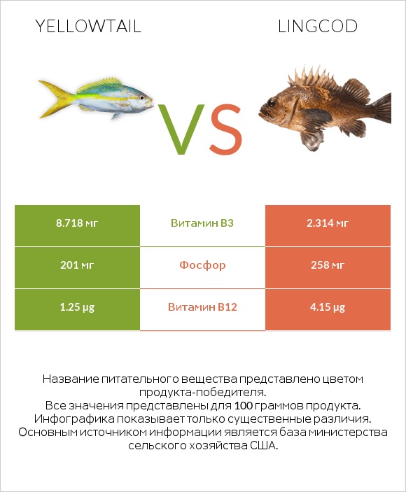 Yellowtail vs Lingcod infographic