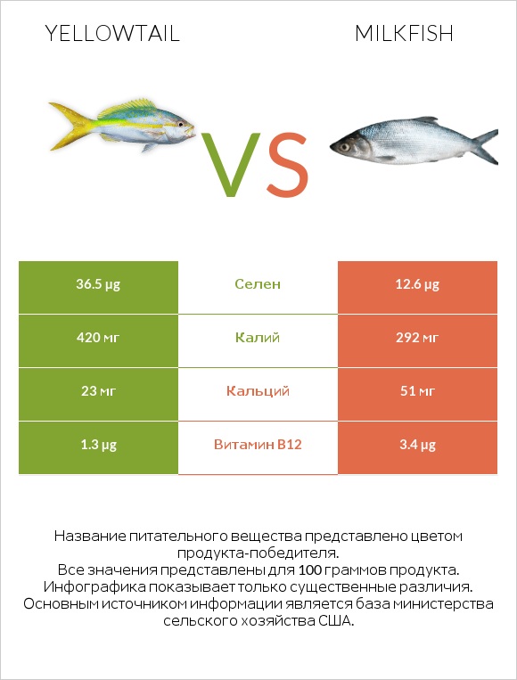 Yellowtail vs Milkfish infographic