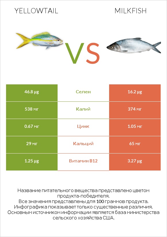 Yellowtail vs Milkfish infographic