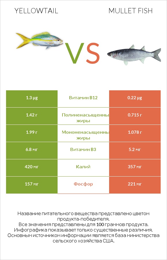 Yellowtail vs Mullet fish infographic