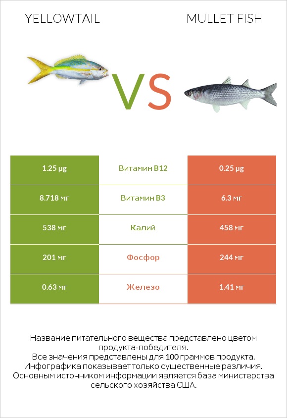 Yellowtail vs Mullet fish infographic