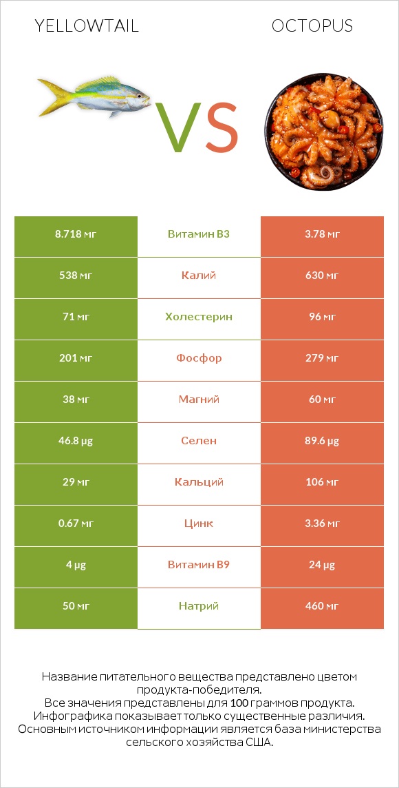 Yellowtail vs Octopus infographic