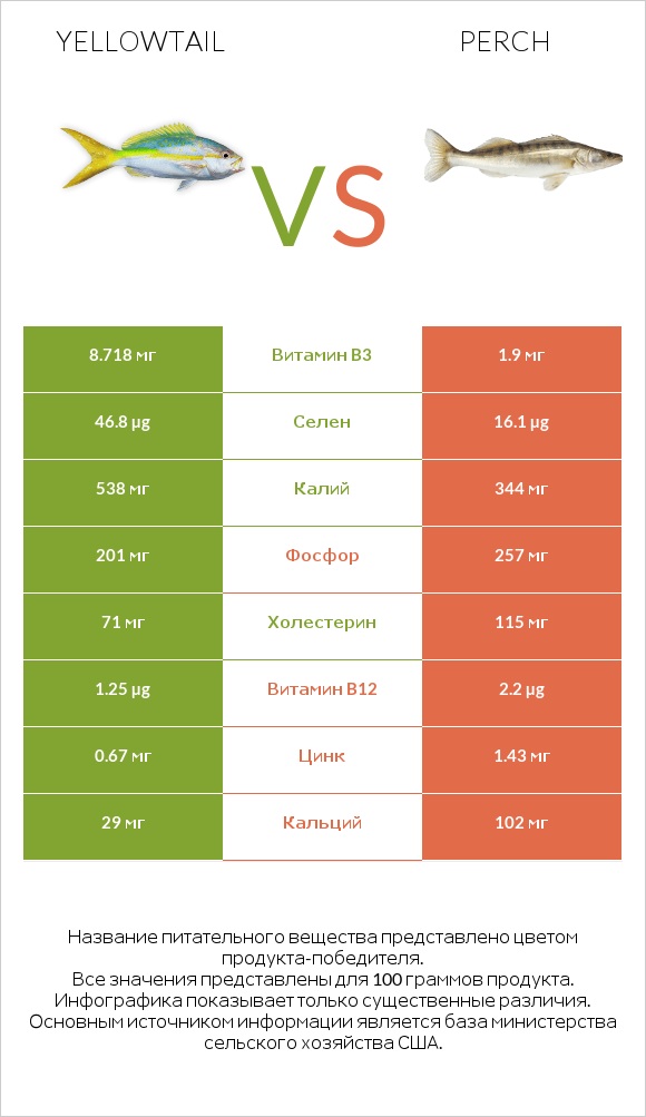 Yellowtail vs Perch infographic