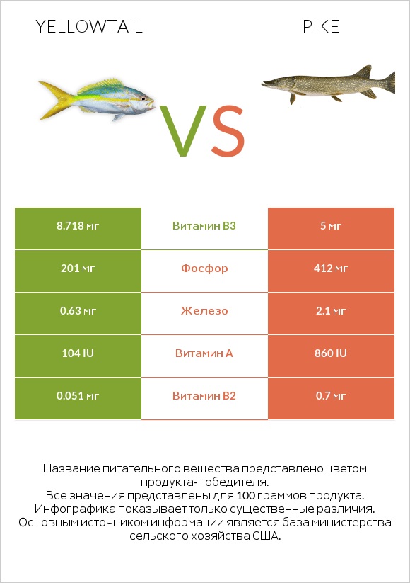 Yellowtail vs Pike infographic