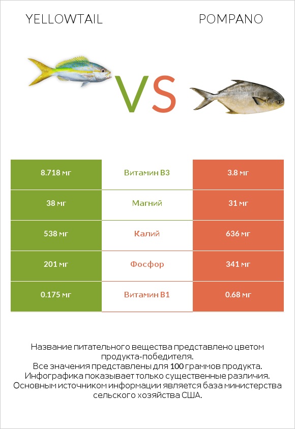 Yellowtail vs Pompano infographic