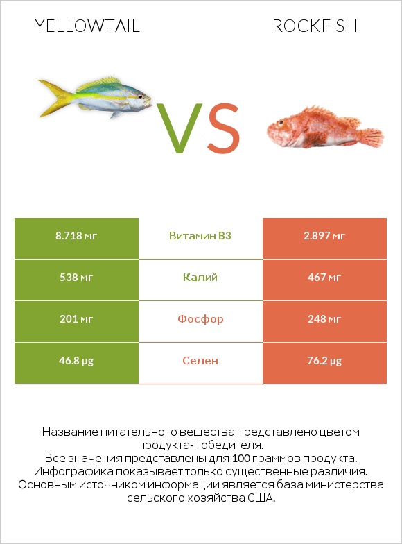 Yellowtail vs Rockfish infographic