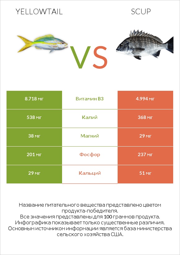 Yellowtail vs Scup infographic