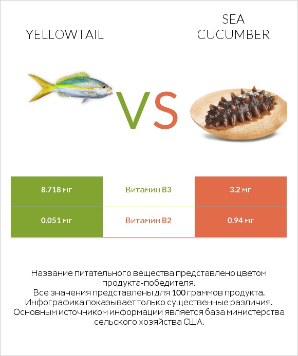 Yellowtail vs Sea cucumber infographic