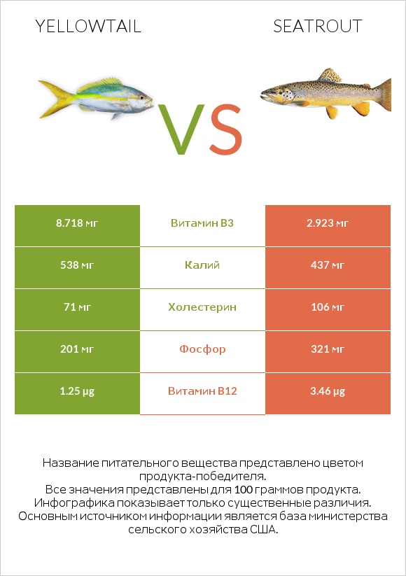 Yellowtail vs Seatrout infographic