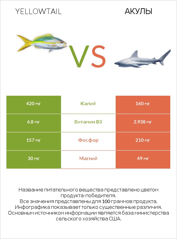 Yellowtail vs Акула infographic