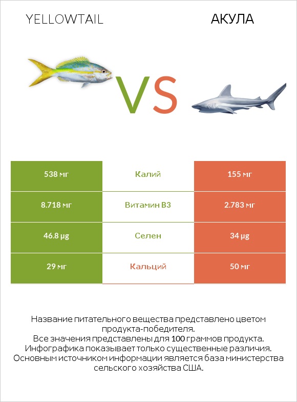 Yellowtail vs Акула infographic