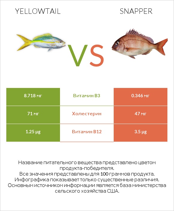 Yellowtail vs Snapper infographic