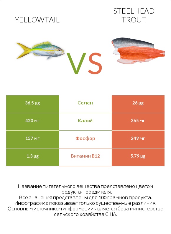 Yellowtail vs Steelhead trout infographic